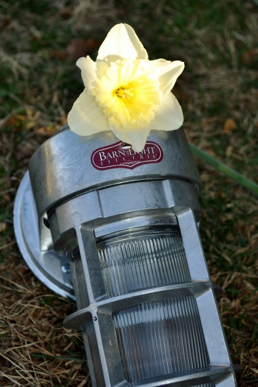 atomic_streamline_industrial_guard_sconce-512x768.jpg