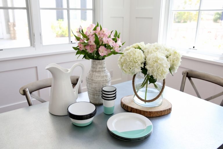 porcelain enamel dinnerware