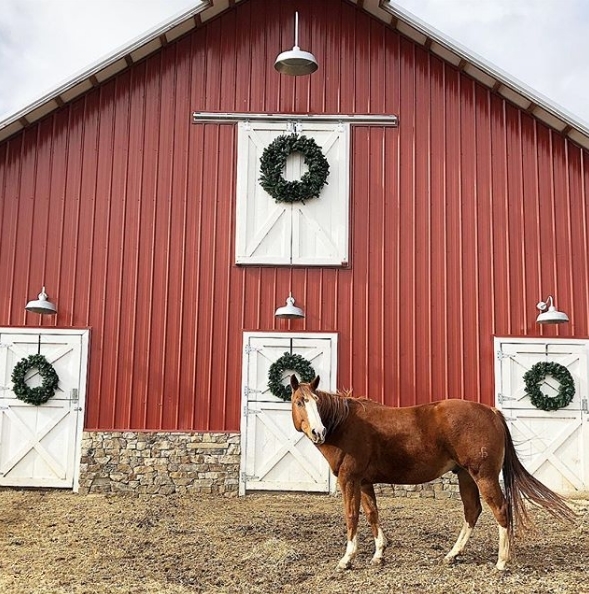 gooseneck barn lights