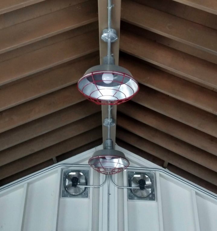 flush mount pendant