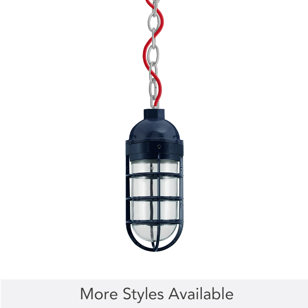 Industrial Guard Chain Pendant Light | Barn Light Electric