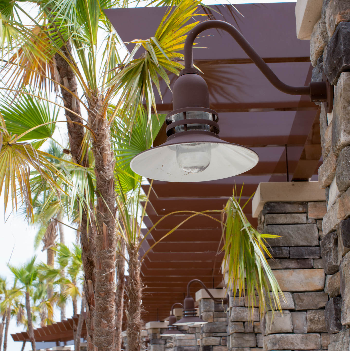Cherokee LED Gooseneck Light