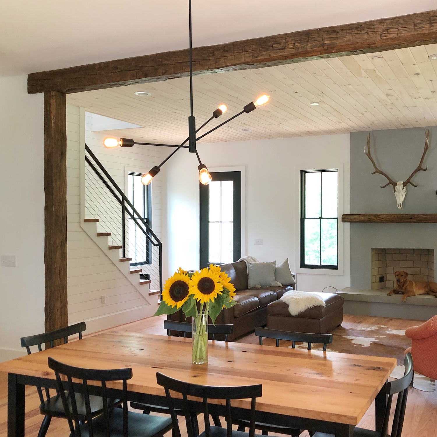 Downtown Minimalist 5-Light Stem Mount Pendant | Photo Courtesy of Stephanie Payton