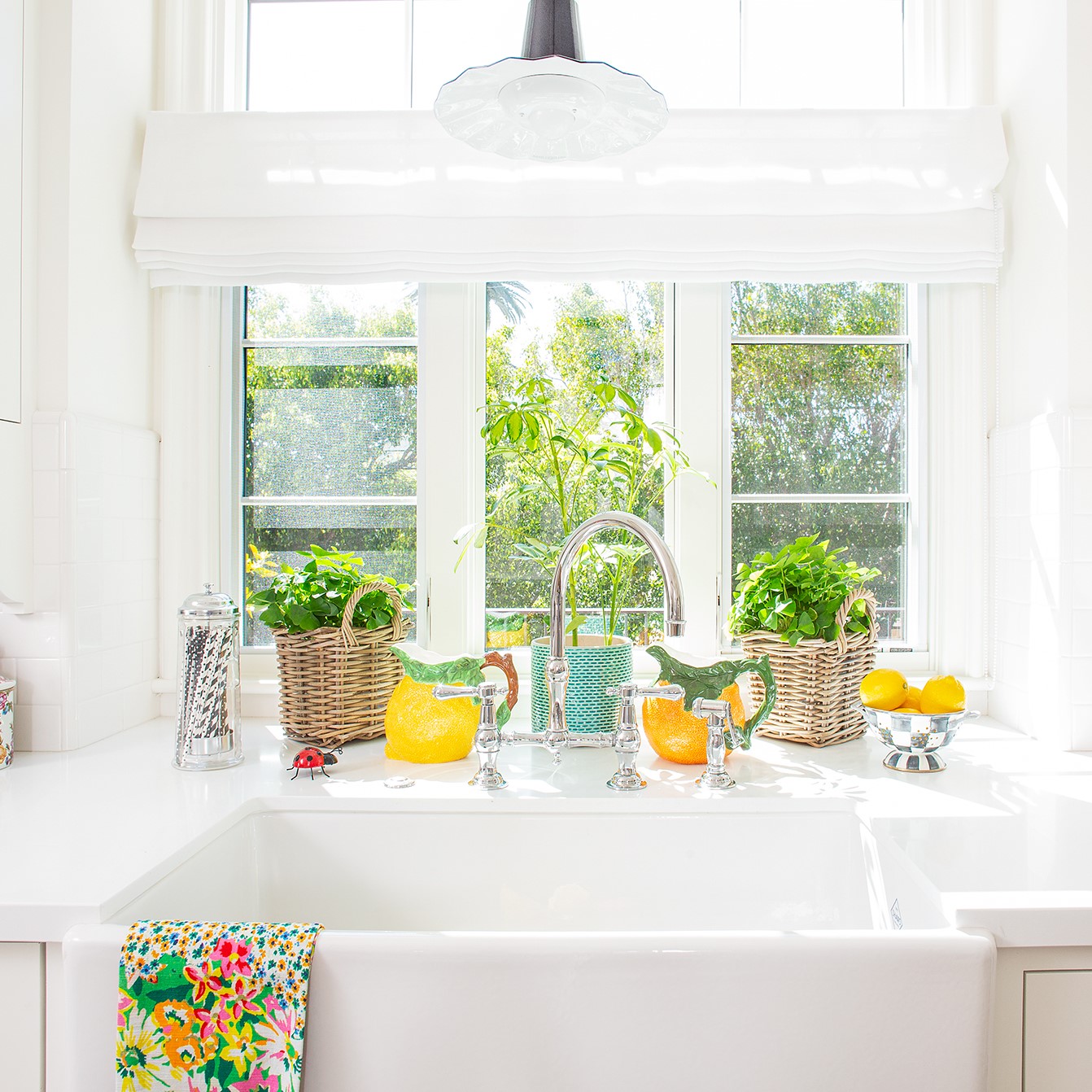 Seaside LED Pendant Light