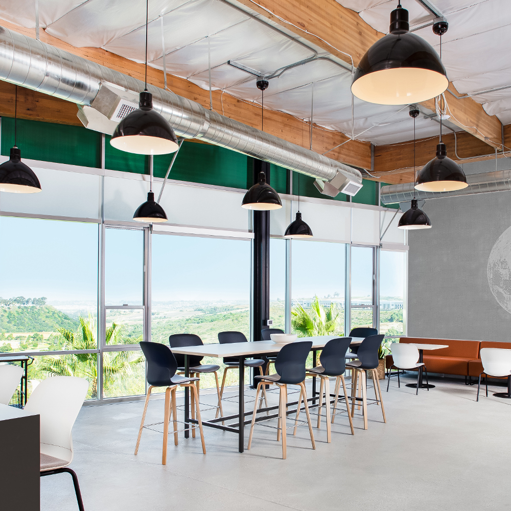 Wilcox Cord Pendant Light