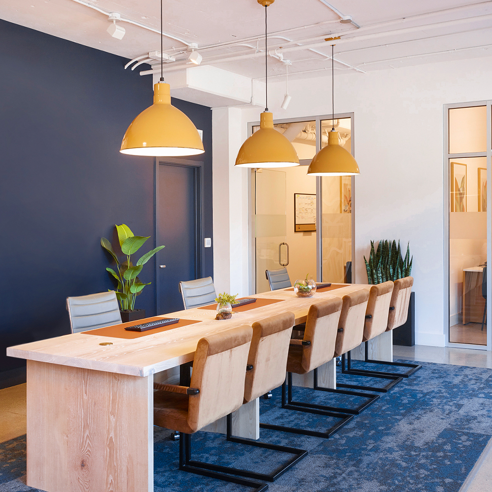 Wilcox LED Deep Bowl Cord Pendant Light