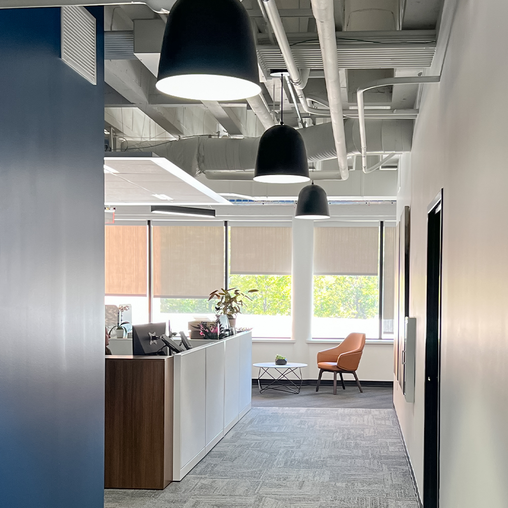 Egg Cord Pendant Light