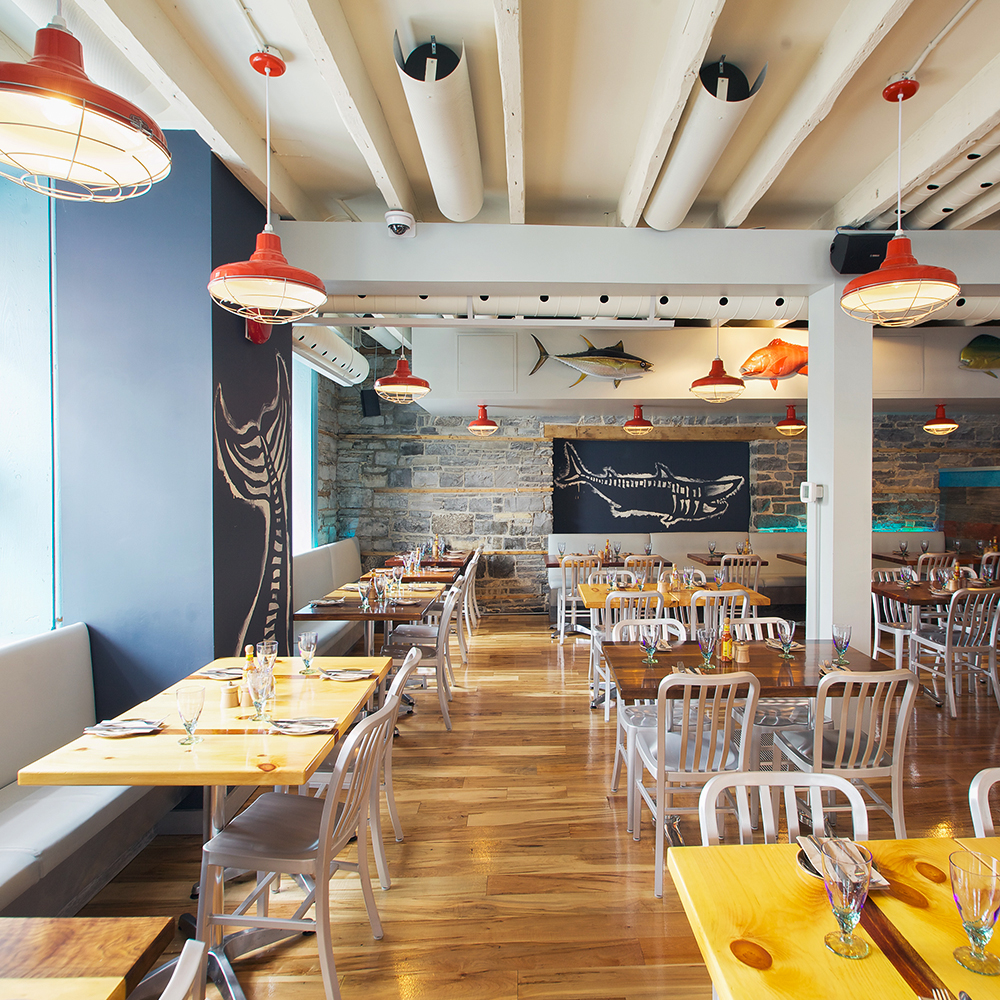 The Original™ Cord Pendant Light