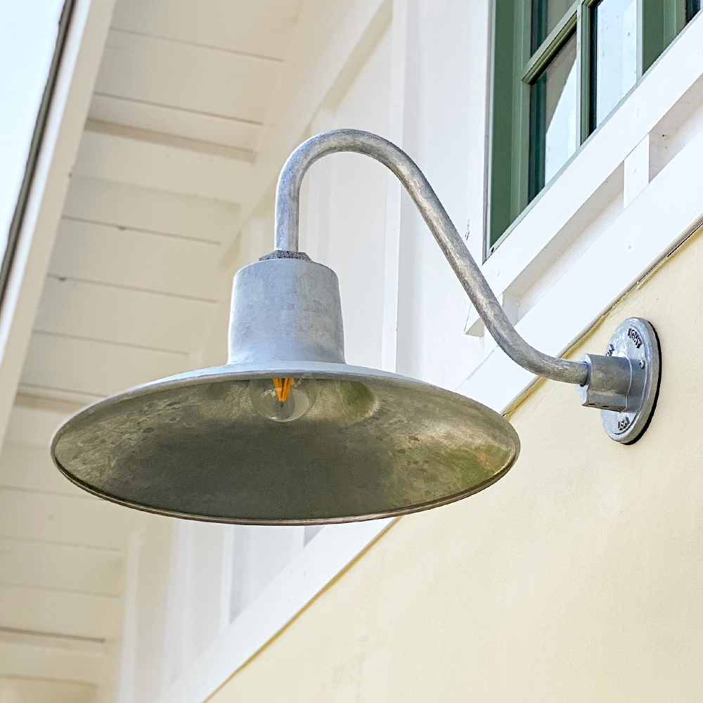 Dominion Gooseneck Light