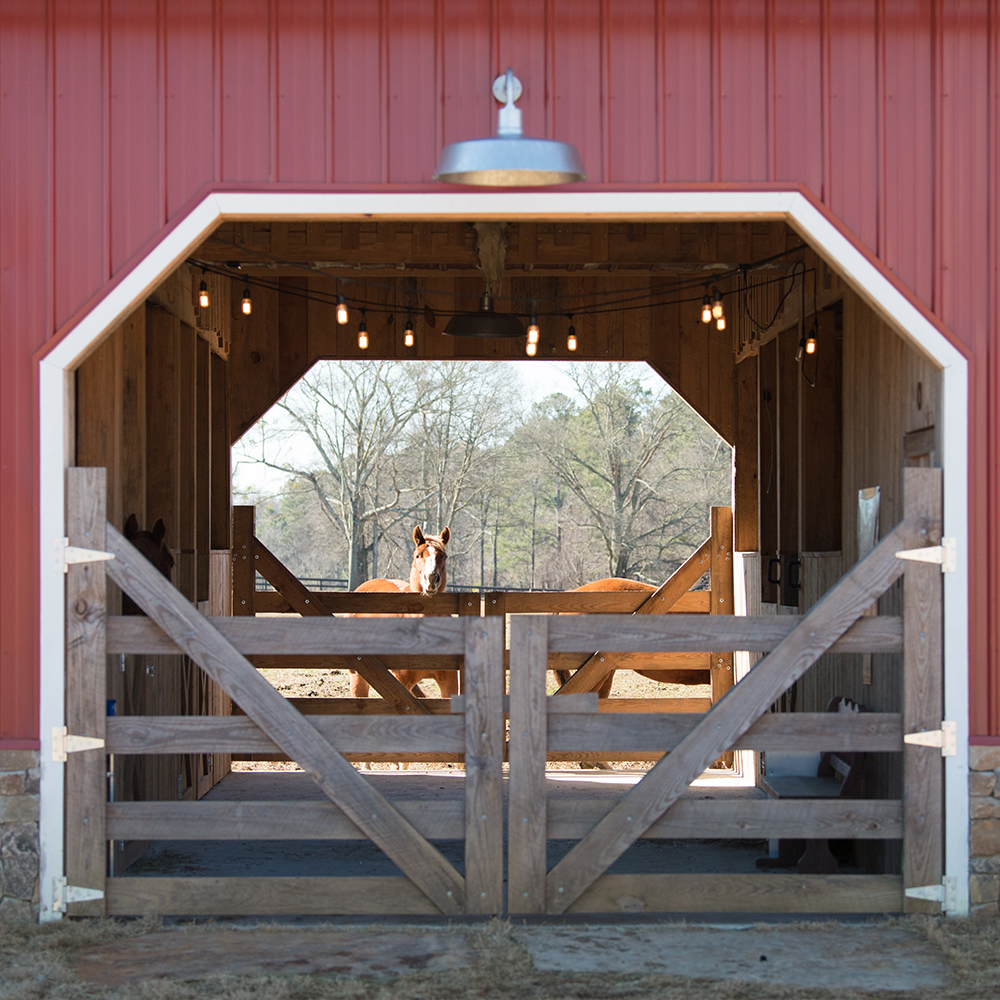 The Original™ Gooseneck Light