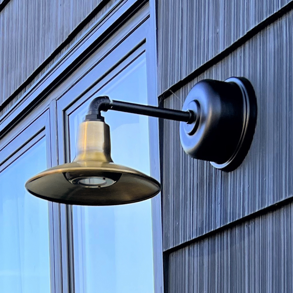 Dominion LED Gooseneck Light