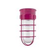Flush Mount LED Guard Sconce, 490-Magenta, WGG-Wire Guard, RIB-Ribbed Glass Flush Mount LED Guard Sconce, 490-Magenta, WGG-Wire Guard, RIB-Ribbed Glass