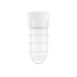 Flush Mount LED Guard Sconce, 200-White, WGG-Wire Guard, FST-Frosted Glass Flush Mount LED Guard Sconce, 200-White, WGG-Wire Guard, FST-Frosted Glass