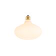Oval LED Tala Lamp - On Oval LED Tala Lamp - On