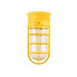 Flush Mount LED Guard Sconce, 500-Buttery Yellow, CGG-Standard Cast Guard, RIB-Ribbed Glass Flush Mount LED Guard Sconce, 500-Buttery Yellow, CGG-Standard Cast Guard, RIB-Ribbed Glass