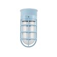 Flush Mount LED Guard Sconce, 715-Delphite, CGG-Standard Cast Guard, CLR-Clear Glass Flush Mount LED Guard Sconce, 715-Delphite, CGG-Standard Cast Guard, CLR-Clear Glass