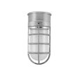 Flush Mount LED Guard Sconce, 975-Galvanized, CGG-Standard Cast Guard, FST-Frosted Glass Flush Mount LED Guard Sconce, 975-Galvanized, CGG-Standard Cast Guard, FST-Frosted Glass