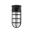 Flush Mount Guard Sconce, 100-Black, CGG-Standard Cast Guard, CLR-Clear Glass Flush Mount Guard Sconce, 100-Black, CGG-Standard Cast Guard, CLR-Clear Glass