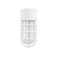 Flush Mount Guard Sconce, 200-White, CGG-Standard Cast Guard, FST-Frosted Glass Flush Mount Guard Sconce, 200-White, CGG-Standard Cast Guard, FST-Frosted Glass