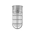 Flush Mount Guard Sconce, 975-Galvanized, CGG-Standard Cast Guard, FST-Frosted Glass Flush Mount Guard Sconce, 975-Galvanized, CGG-Standard Cast Guard, FST-Frosted Glass
