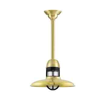 12" Brisbane, 997-Natural Raw Brass, With Cap Option, Guard in 100-Black, CLR-Clear Glass, Decorative Canopy Cover