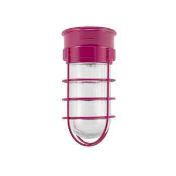 Flush Mount LED Guard Sconce, 490-Magenta, WGG-Wire Guard, RIB-Ribbed Glass