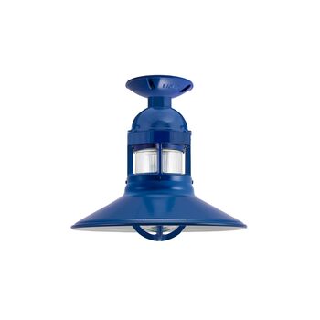 Blue porch lights cheap