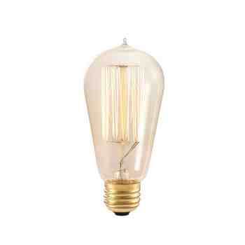 1910 Era 60W Light Bulb