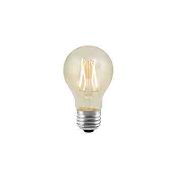LED Edison A19 Bulb