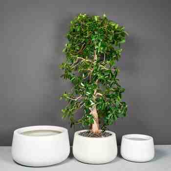 Jay Scotts Fiberglass Short Hayden Round Planter, Matte White