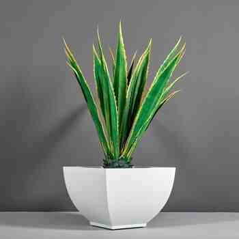 Jay Scotts Fiberglass Kathryn Square Planter, Matte White