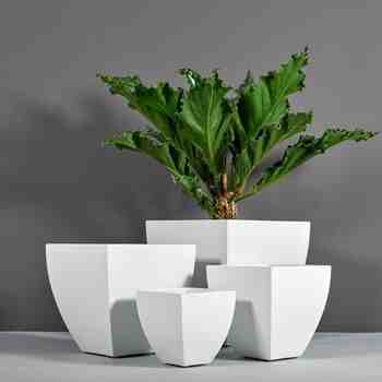 Jay Scotts Fiberglass Lima Tapered Square Planter, Matte White