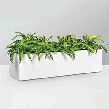 Jay Scotts Fiberglass Nile Wall Rectangle Planter, Matte White