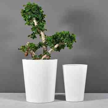 Jay Scotts Fiberglass Pego Oval Tapered Planter, Matte White