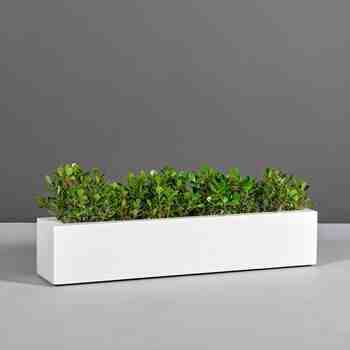 Jay Scotts Fiberglass Salon Rectangle Planter, Matte White