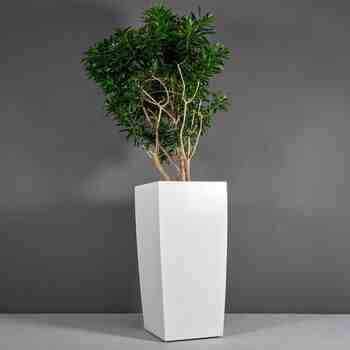 Jay Scotts Fiberglass Toulan Tapered Rectangle Planter, Matte White