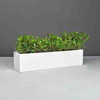 Jay Scotts Fiberglass Vicksburg Tabletop Rectangle Planter, Matte White