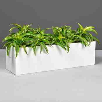 Jay Scotts Fiberglass Weir Tabletop Rectangle Planter, Matte White