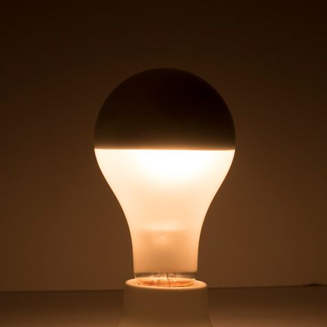 Case of 12: 100W A21 Frost Silver Bowl Bulbs | Barn Light ...