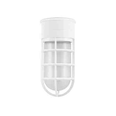 Flush Mount LED Guard Sconce, 200-White, CGG-Standard Cast Guard, FST-Frosted Glass