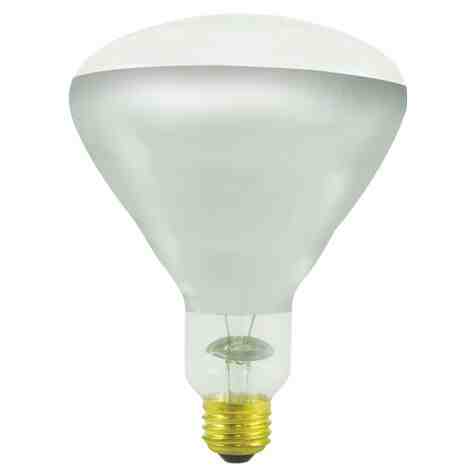 250W Clear Coat Heat Lamp Bulb