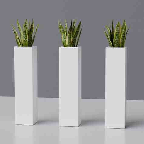 Jay Scotts Fiberglass Fiberglass Hong Kong Column Planter, Matte White