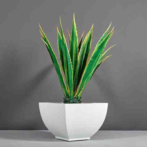 Jay Scotts Fiberglass Kathryn Square Planter, Matte White