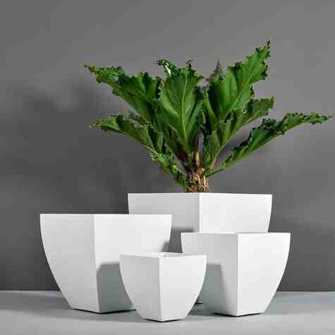 Jay Scotts Fiberglass Lima Tapered Square Planter, Matte White