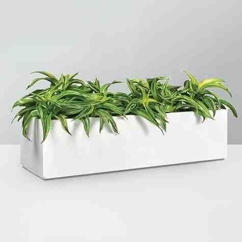 Jay Scotts Fiberglass Nile Wall Rectangle Planter, Matte White