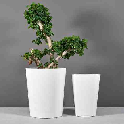 Jay Scotts Fiberglass Pego Oval Tapered Planter, Matte White