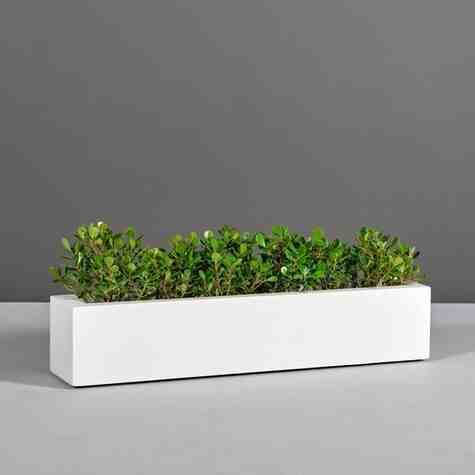 Jay Scotts Fiberglass Salon Rectangle Planter, Matte White