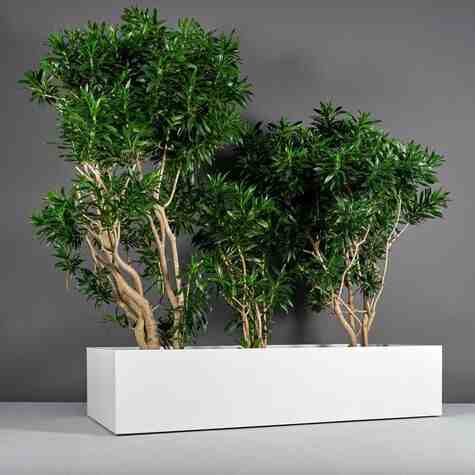Jay Scotts Fiberglass Selenge Rectangle Planter, Matte White