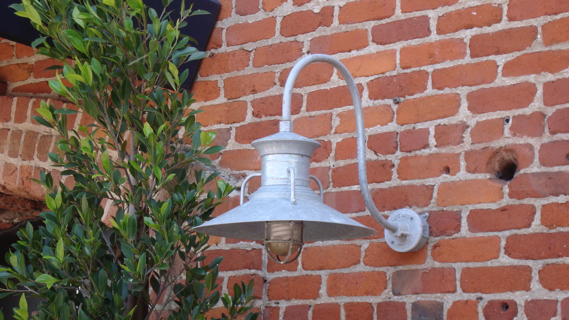 dsc00842
