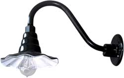 radial edison